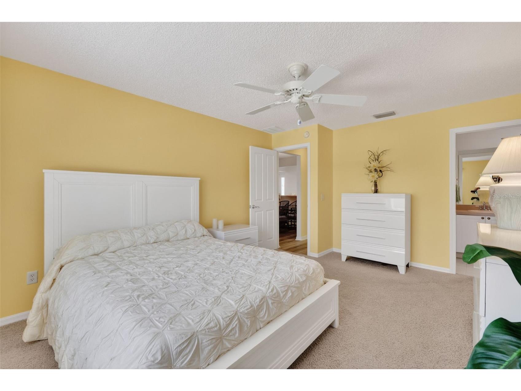 403 Mcleod Lane The Villages FL 32162 G5112383 image20