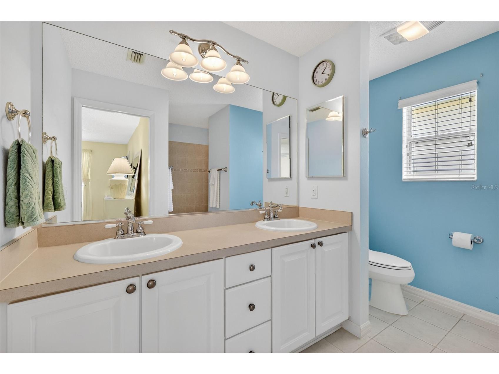 403 Mcleod Lane The Villages FL 32162 G5112383 image22