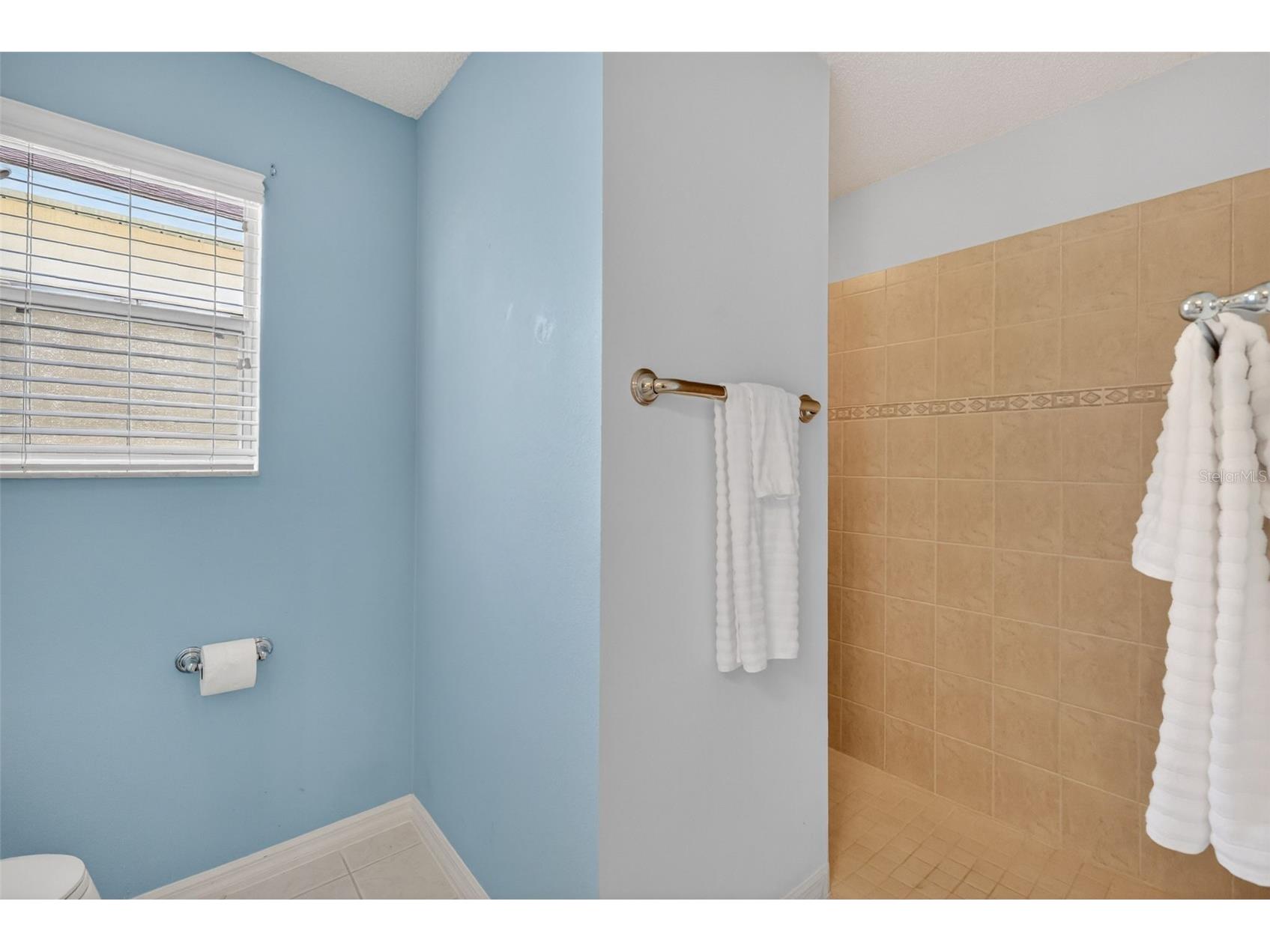 403 Mcleod Lane The Villages FL 32162 G5112383 image23