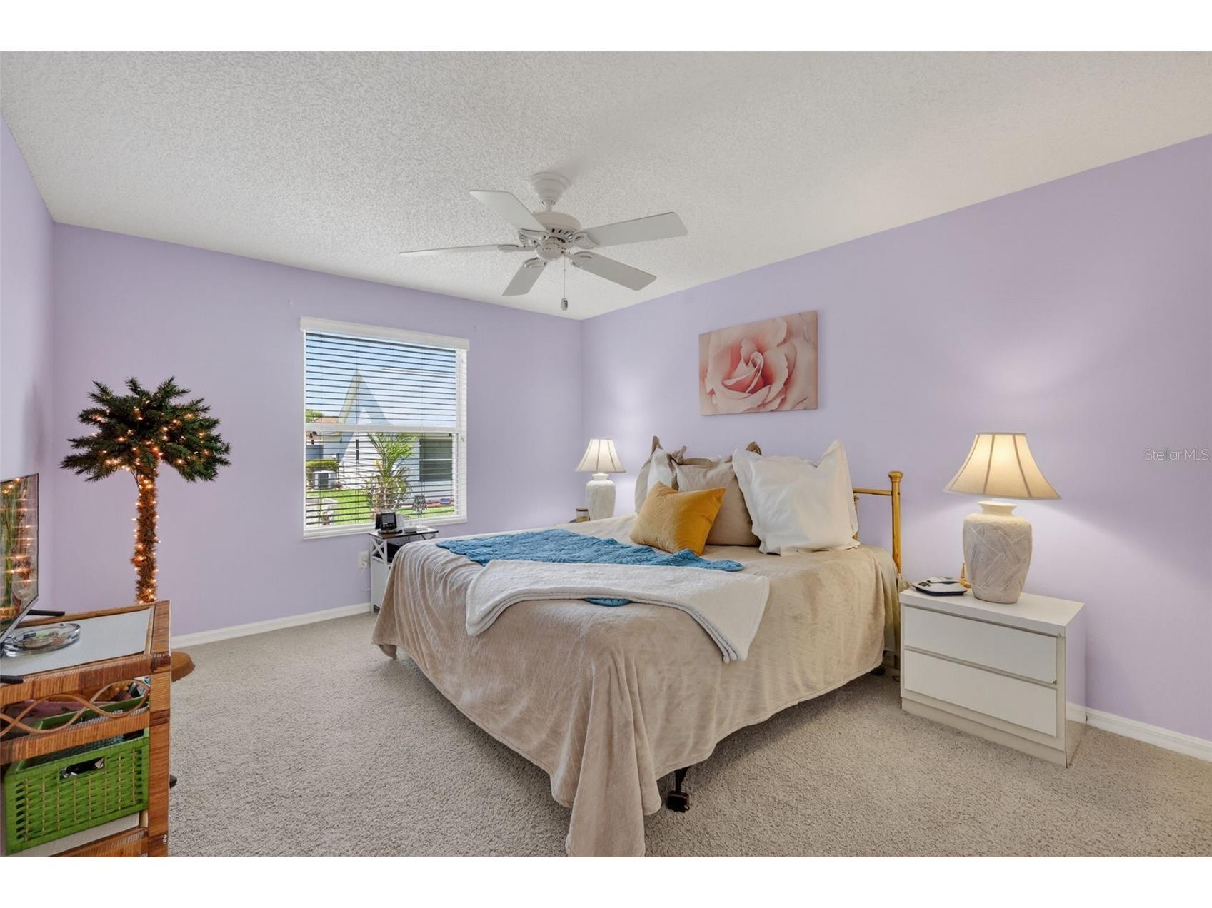 403 Mcleod Lane The Villages FL 32162 G5112383 image25