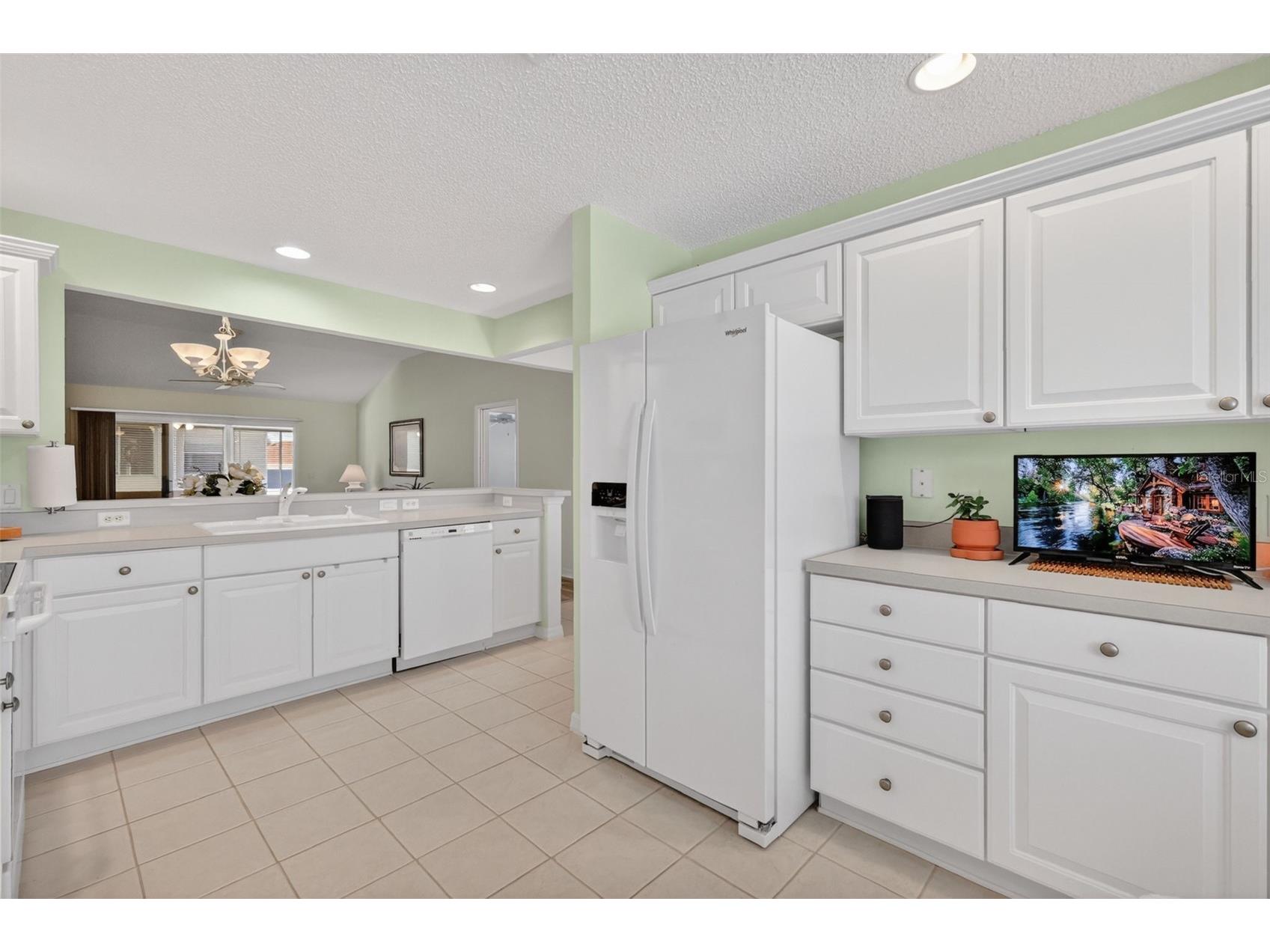 403 Mcleod Lane The Villages FL 32162 G5112383 image5