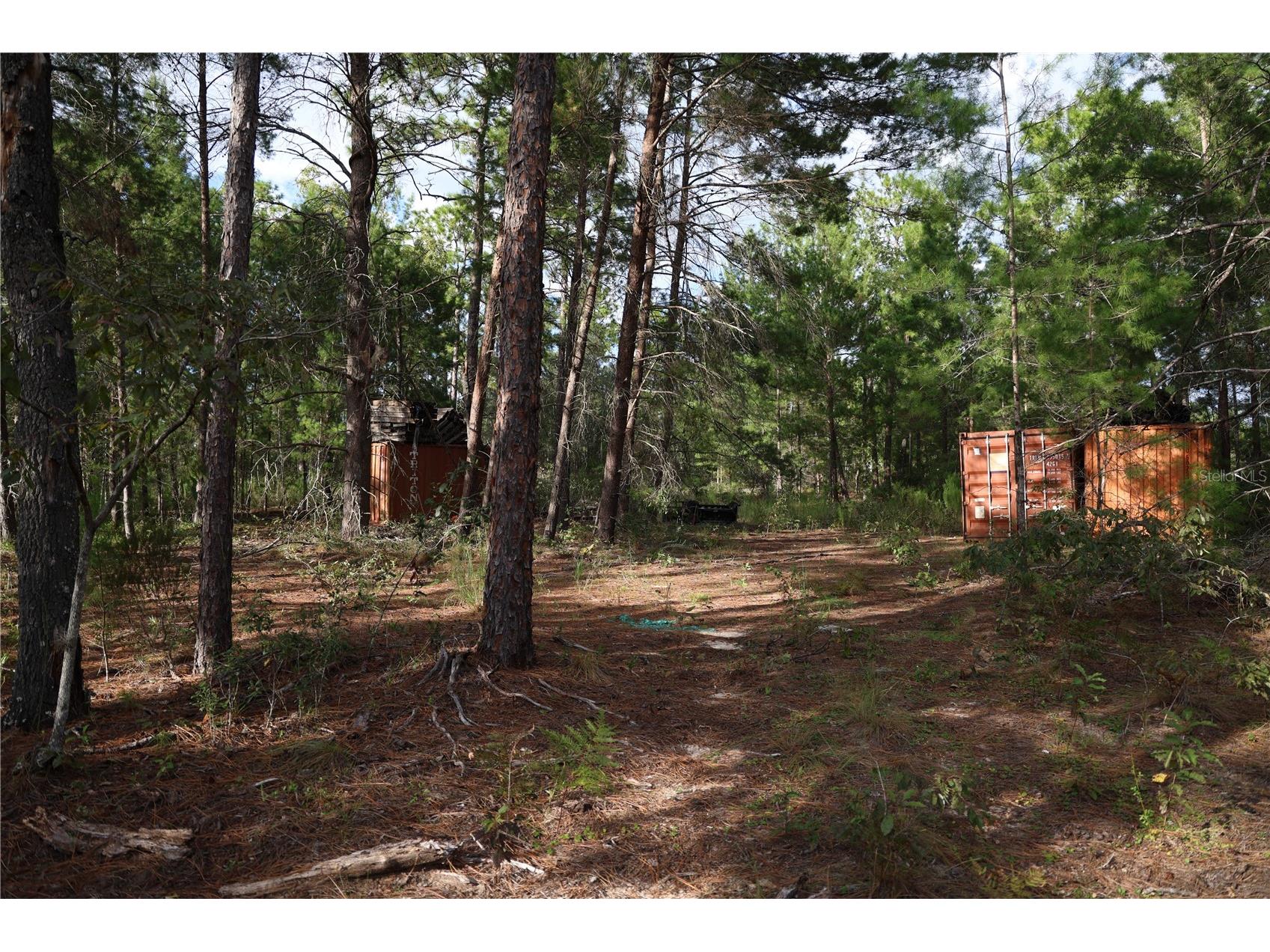 403 Melrose Landing Hawthorne FL 32640 O6344163 image4