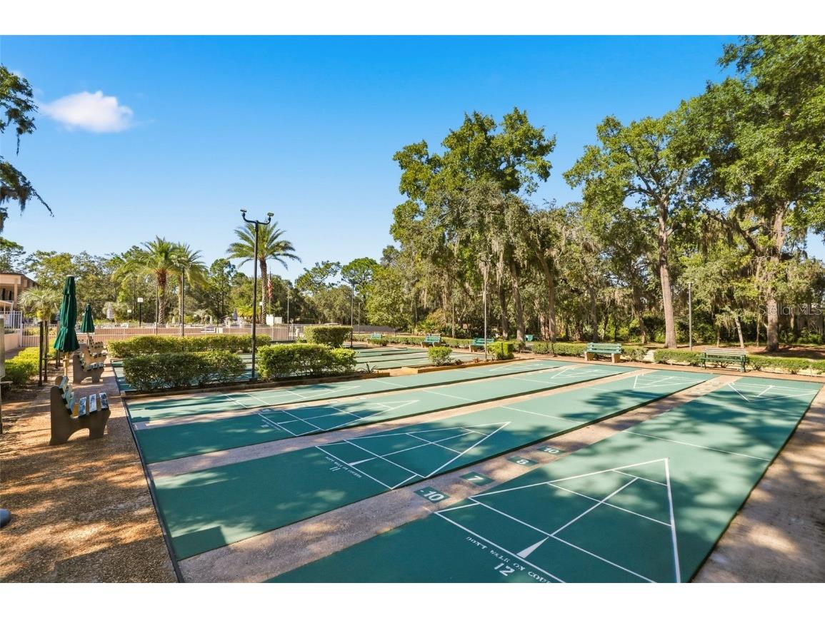 403 N Niblick Lane Lake Mary FL 32746 O6358276 image34