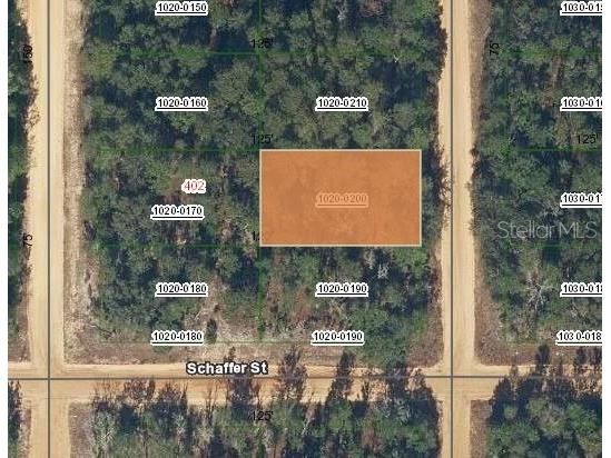 403 Shappell Avenue Interlachen FL 32148 OM699778 image1