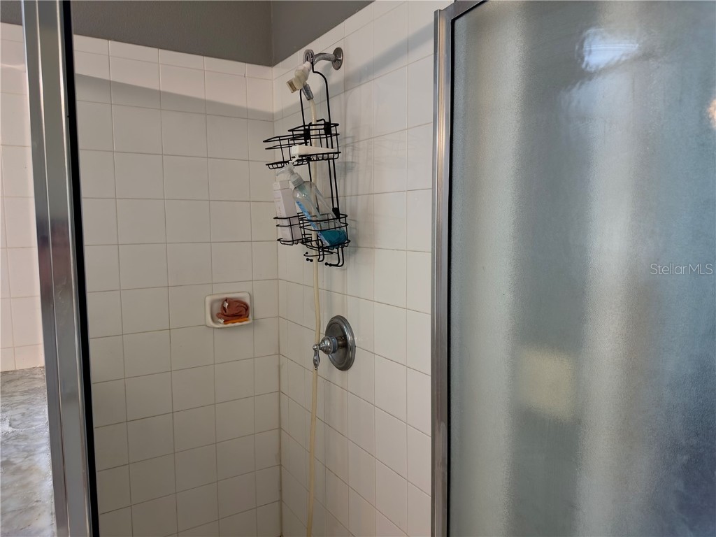 403 Thicket Crest Road Seffner FL 33584 A4670911 image26