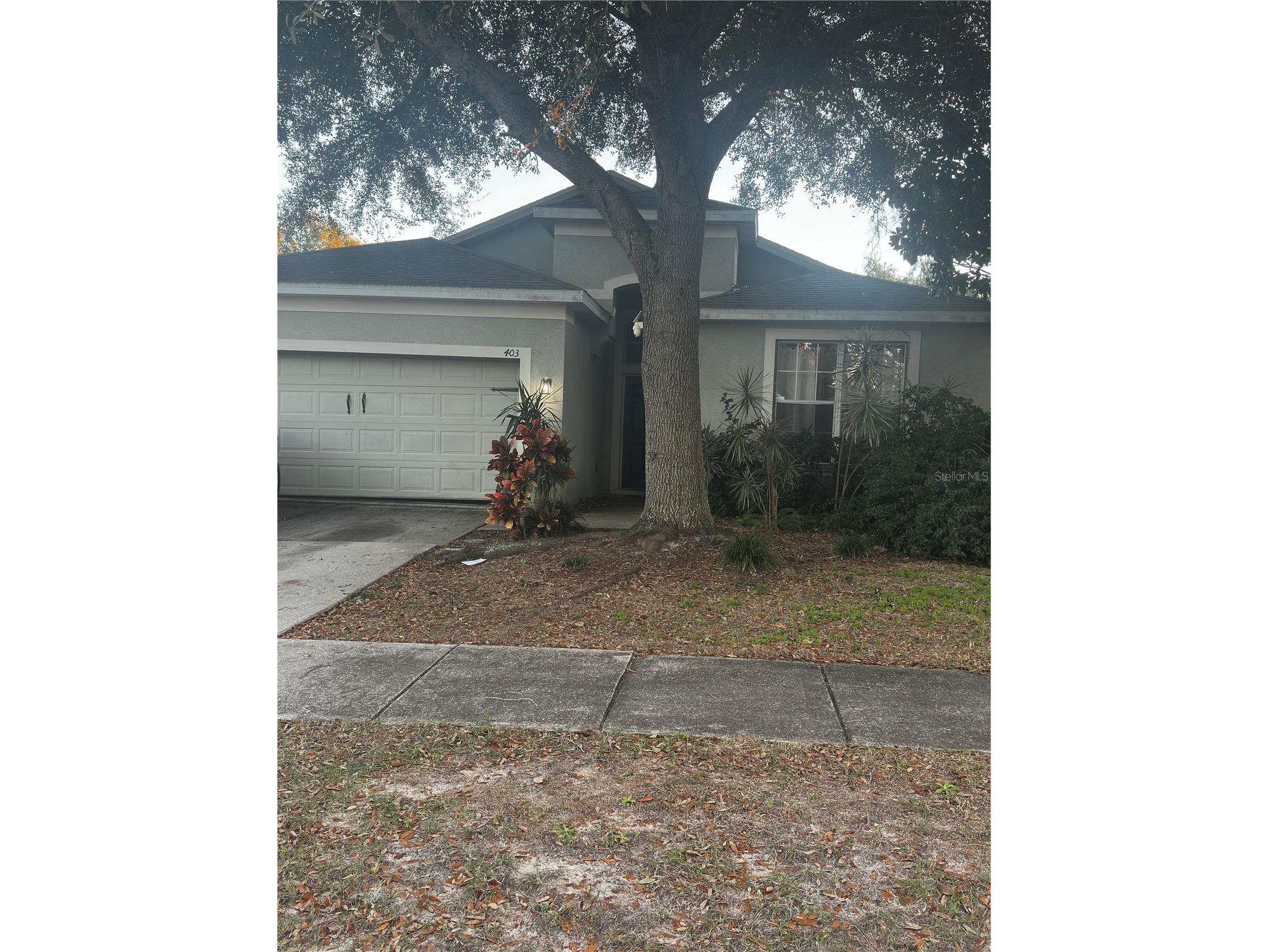 403 Thicket Crest Road Seffner FL 33584 TB8466662 image1