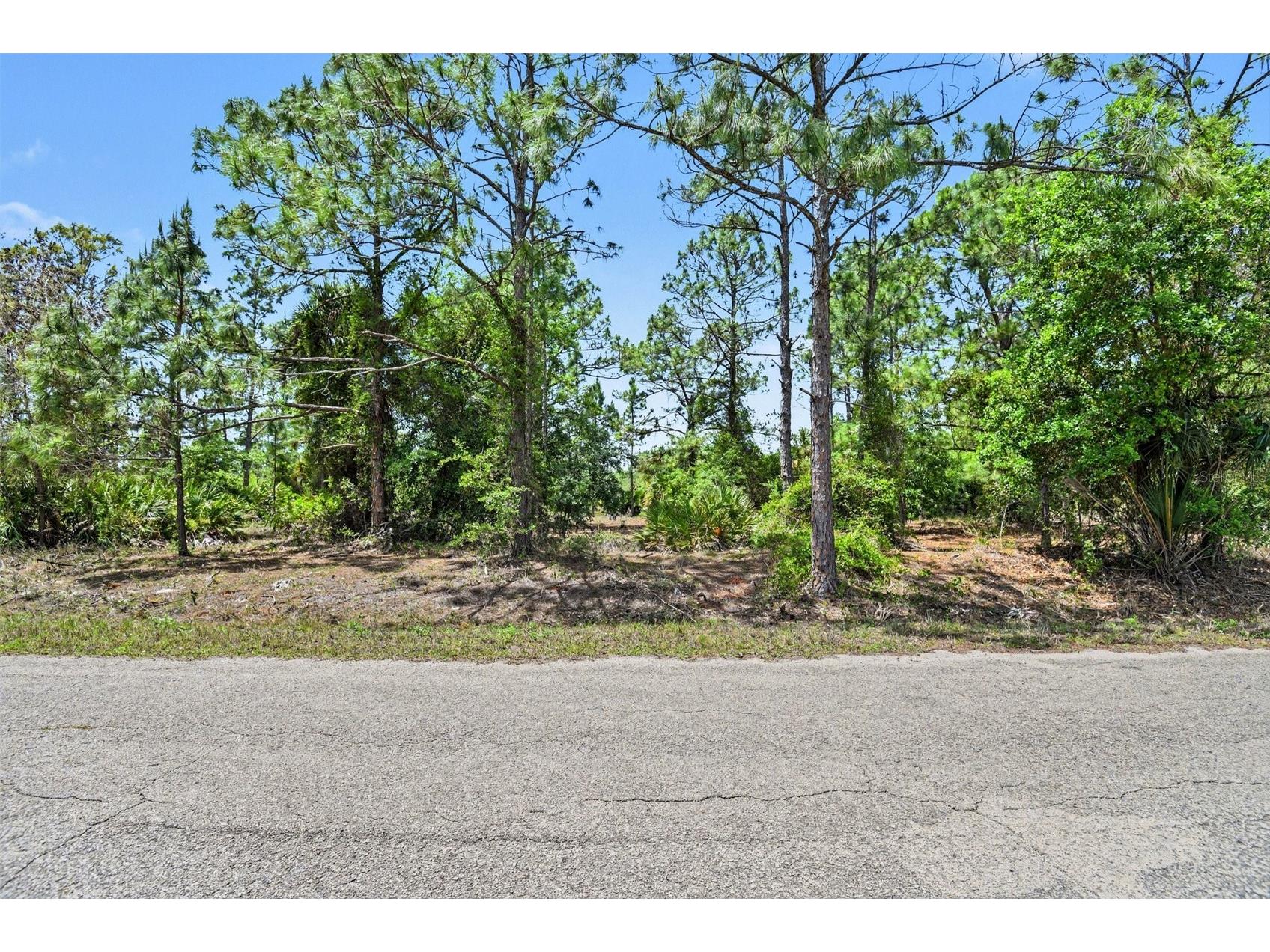 403 Wellington Avenue Lehigh Acres FL 33972 V4948531 image3
