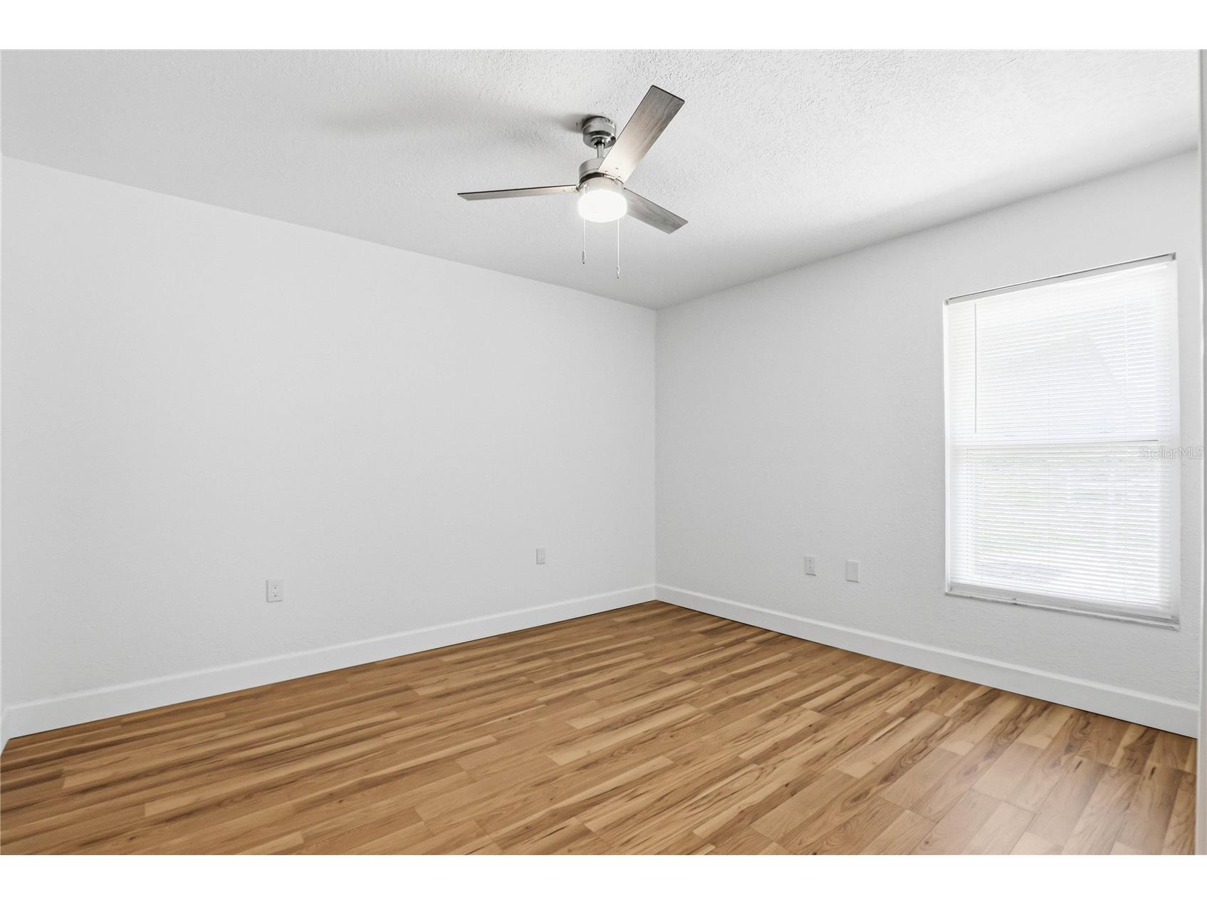 403 Wendel Avenue Lithia FL 33547 TB8499010 image37