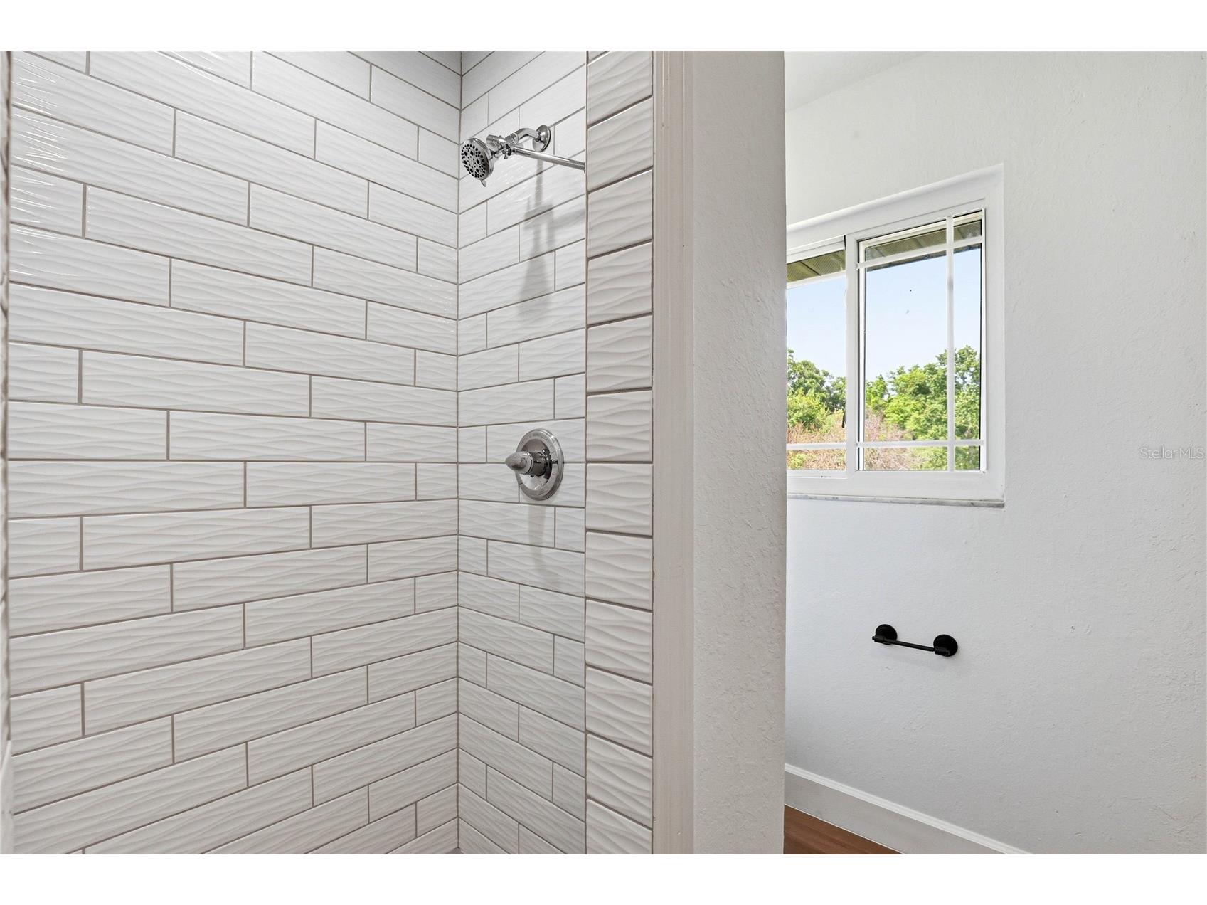 403 Wendel Avenue Lithia FL 33547 TB8499010 image47
