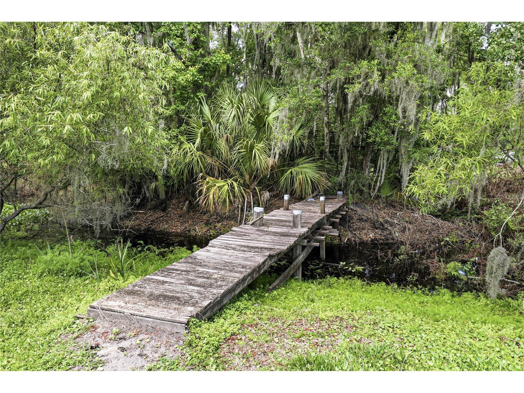 403 Wendel Avenue Lithia FL 33547 TB8499010 image64