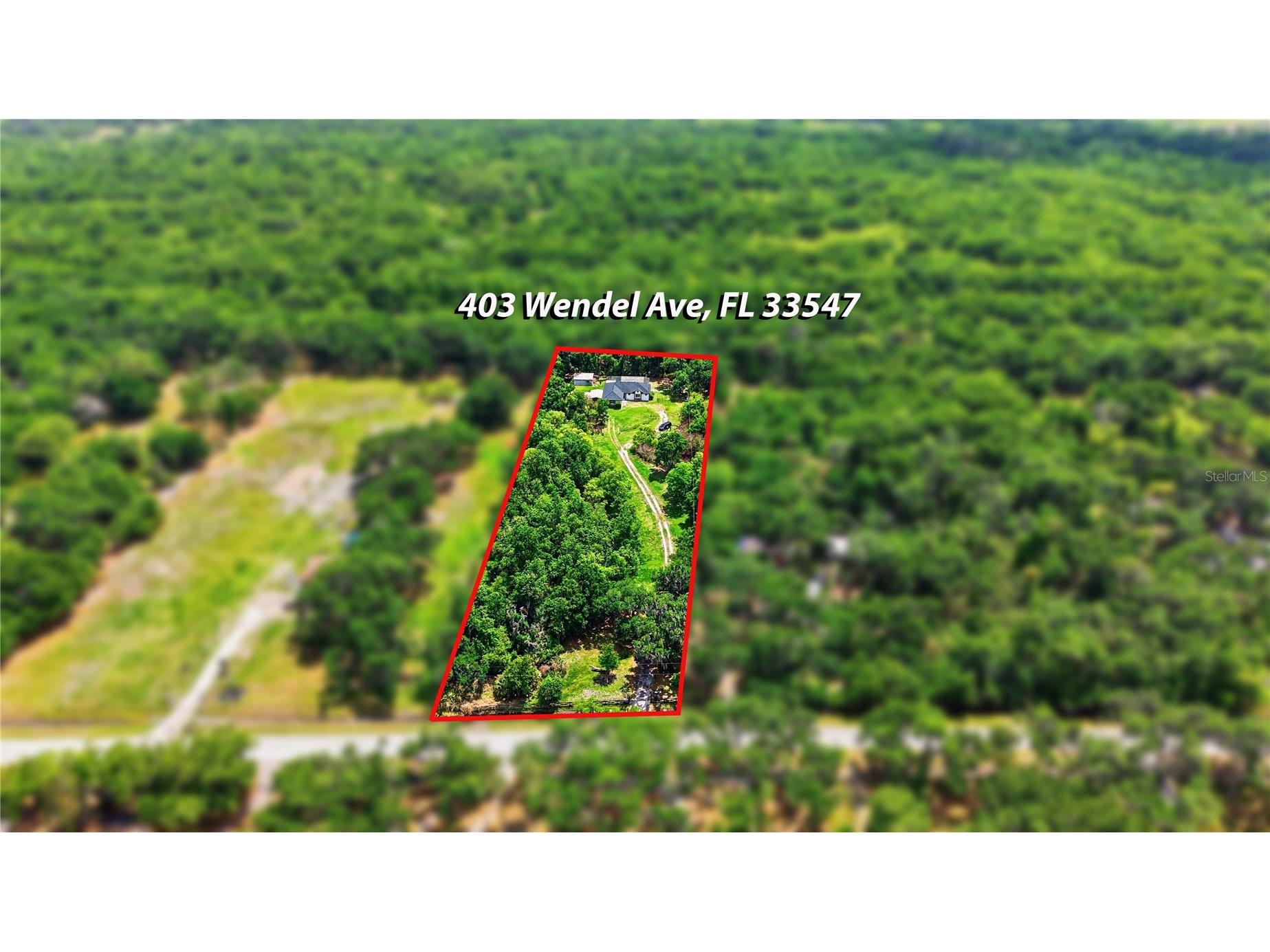 403 Wendel Avenue Lithia FL 33547 TB8499010 image66