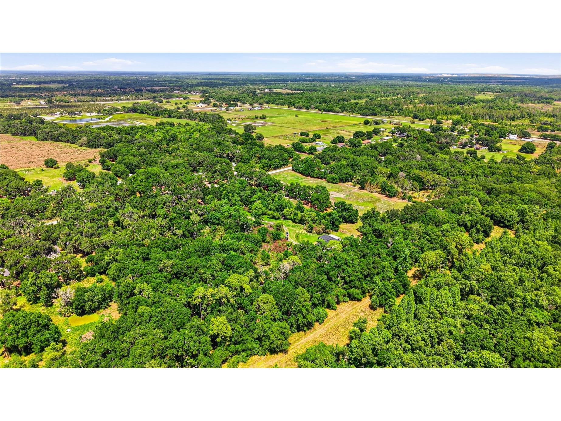 403 Wendel Avenue Lithia FL 33547 TB8499010 image69