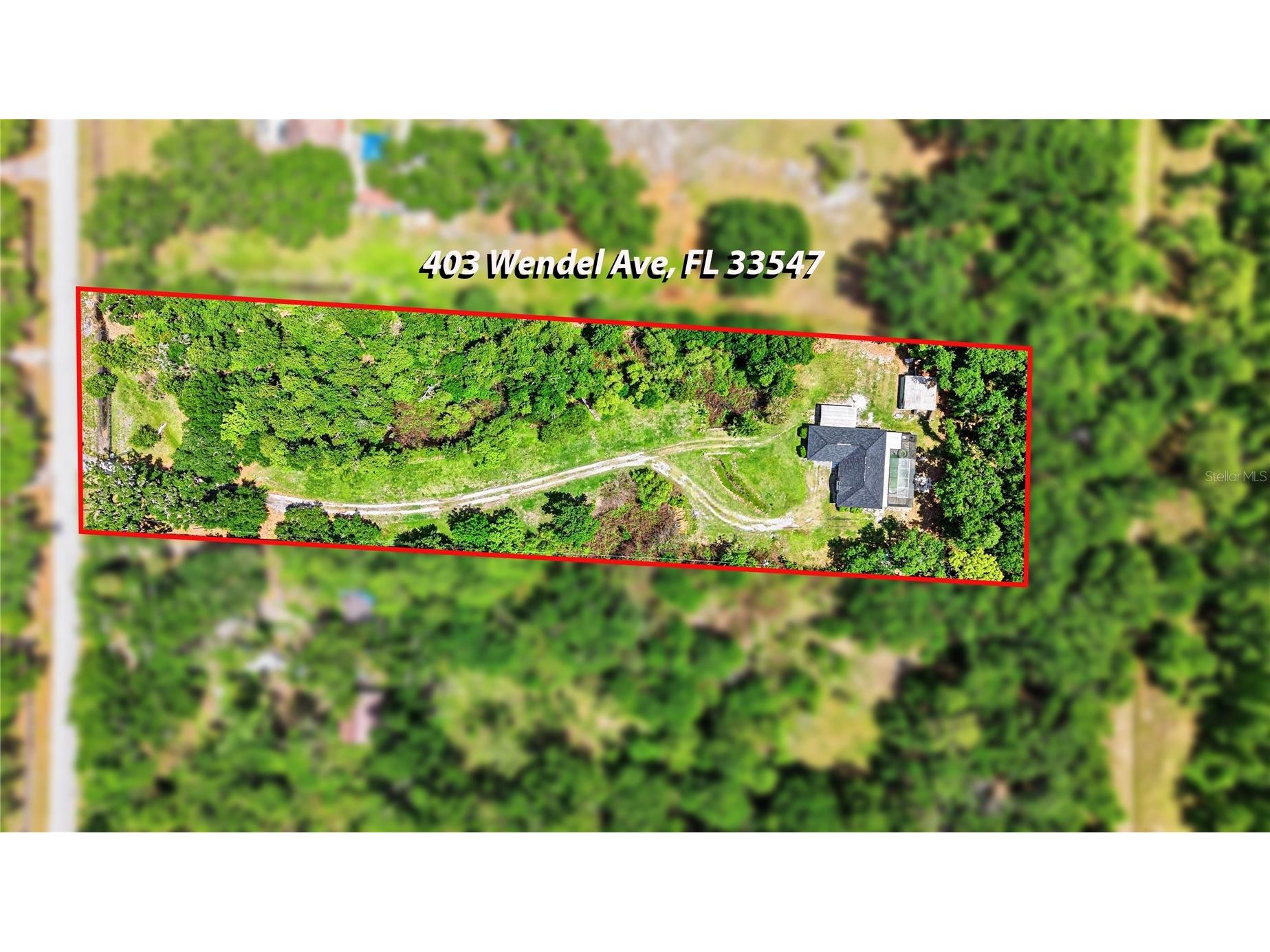 403 Wendel Avenue Lithia FL 33547 TB8499010 image78