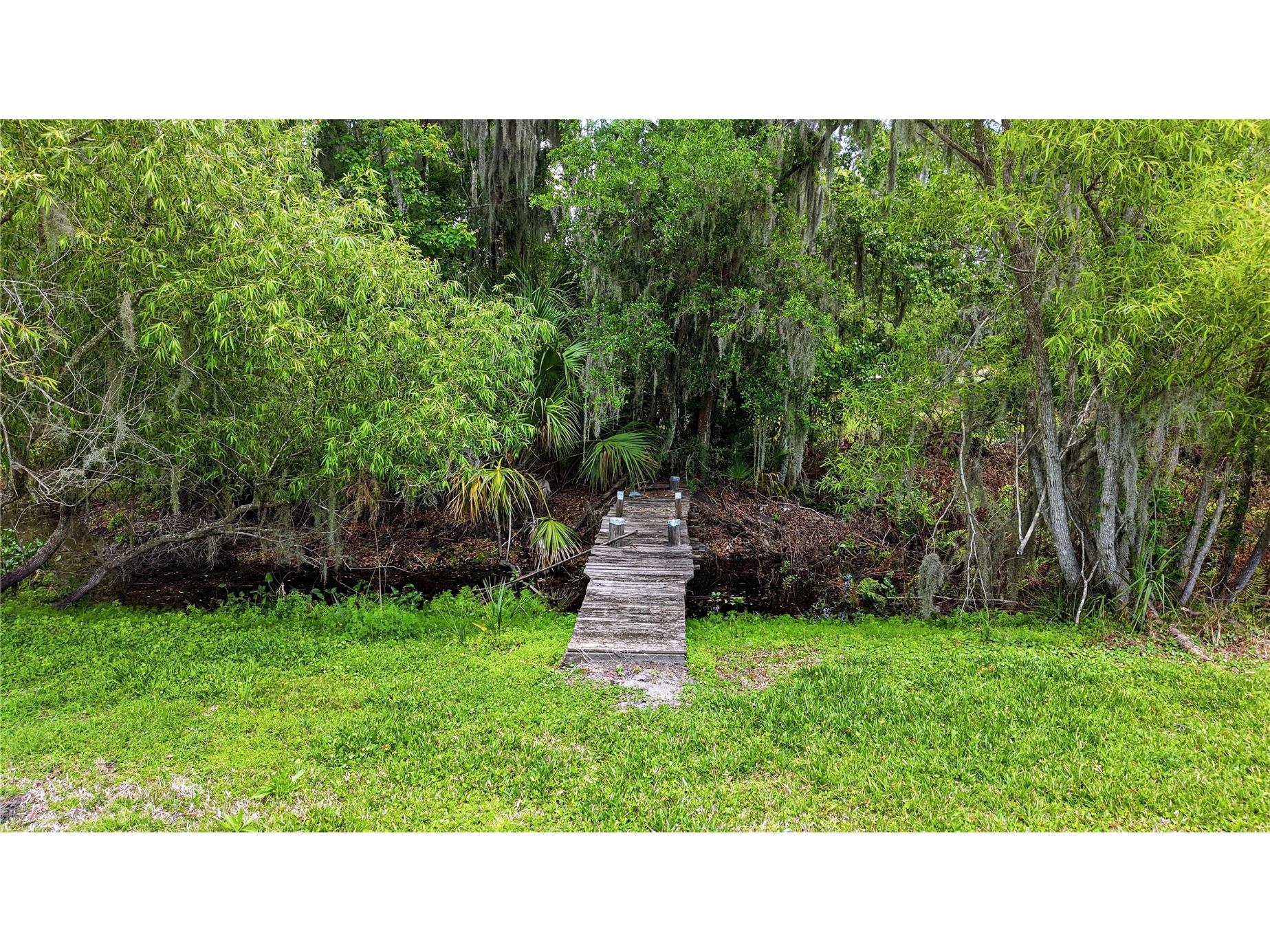 403 Wendel Avenue Lithia FL 33547 TB8499010 image93