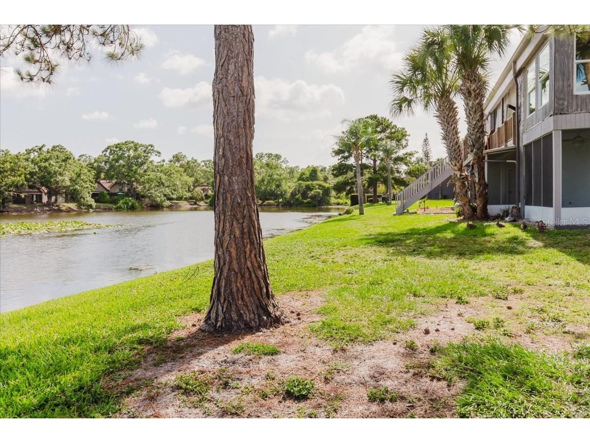 4030 Cortez Drive #C Tampa FL 33614 TB8395779 image29