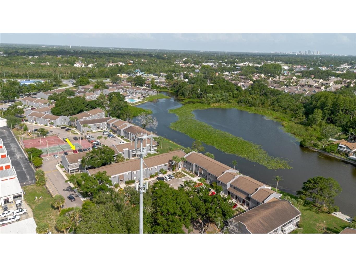 4030 Cortez Drive #C Tampa FL 33614 TB8395779 image35