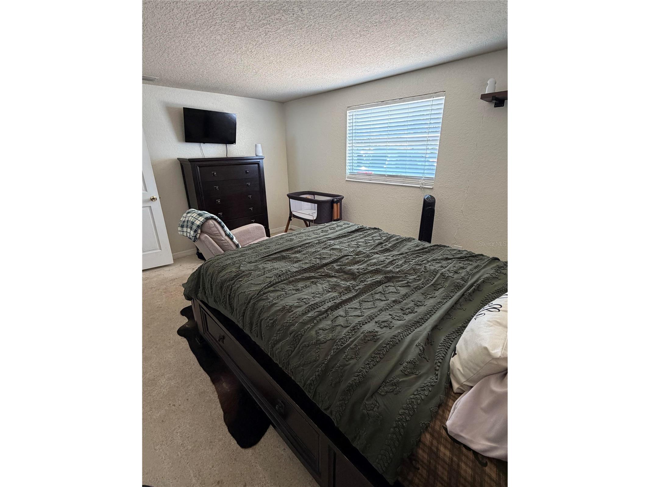 4030 Dalwood Drive Holiday FL 34691 TB8517199 image10