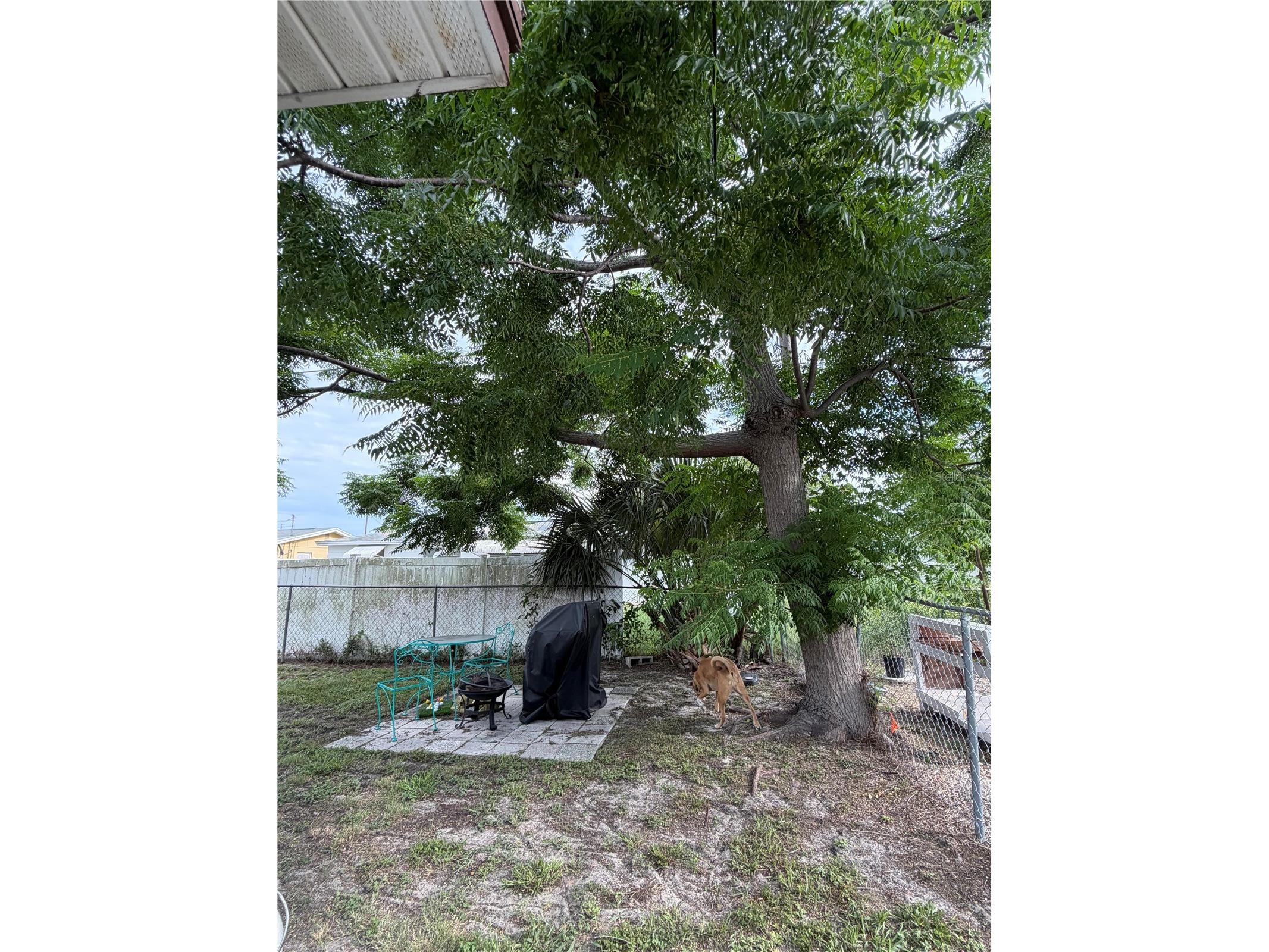 4030 Dalwood Drive Holiday FL 34691 TB8517199 image20