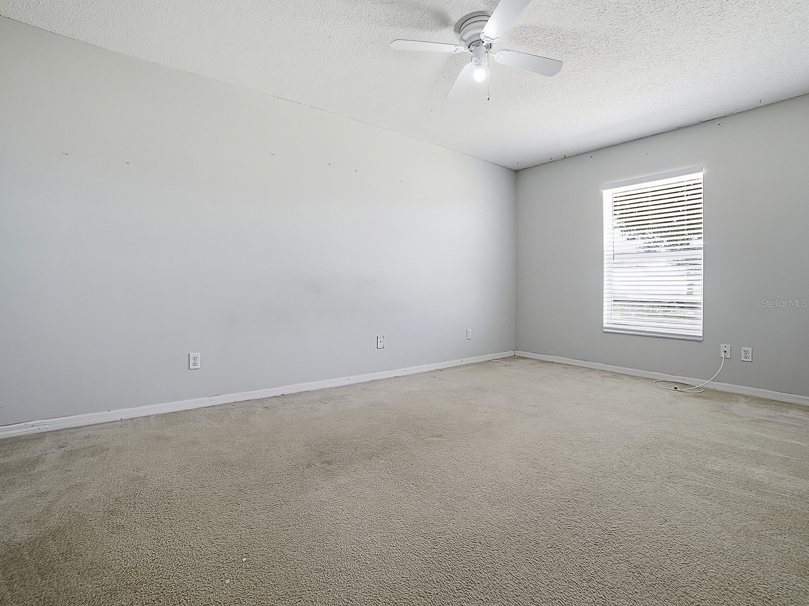 4030 Lake Bluff Drive Mascotte FL 34753 G5112688 image22