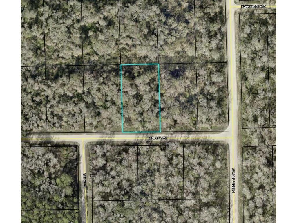4030 Walnut Avenue Bunnell FL 32110 TB8455304 image1