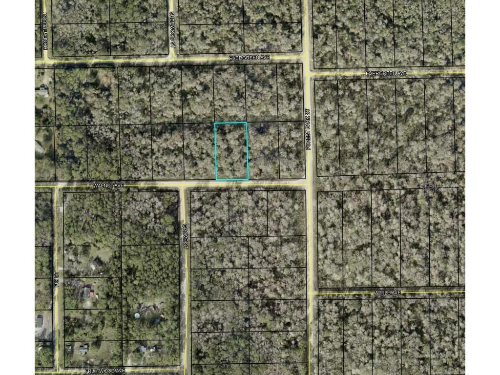 4030 Walnut Avenue Bunnell FL 32110 TB8455304 image2