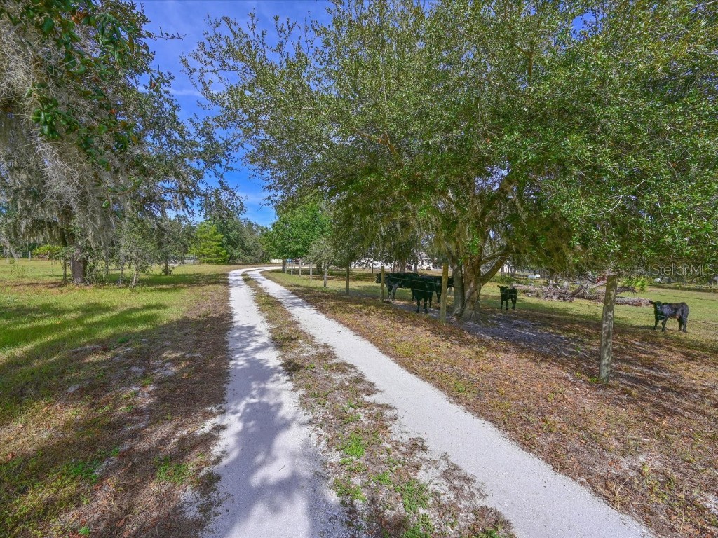 40305 73rd Avenue E Myakka City FL 34251 A4672854 image2