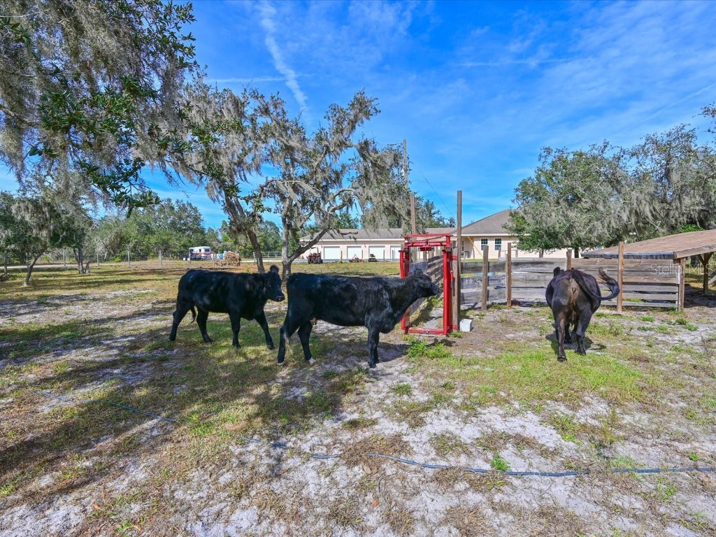 40305 73rd Avenue E Myakka City FL 34251 A4672854 image33