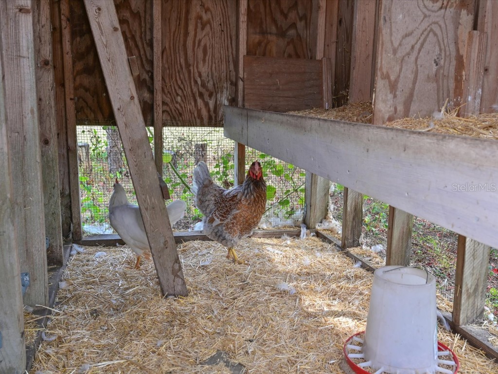 40305 73rd Avenue E Myakka City FL 34251 A4672854 image34