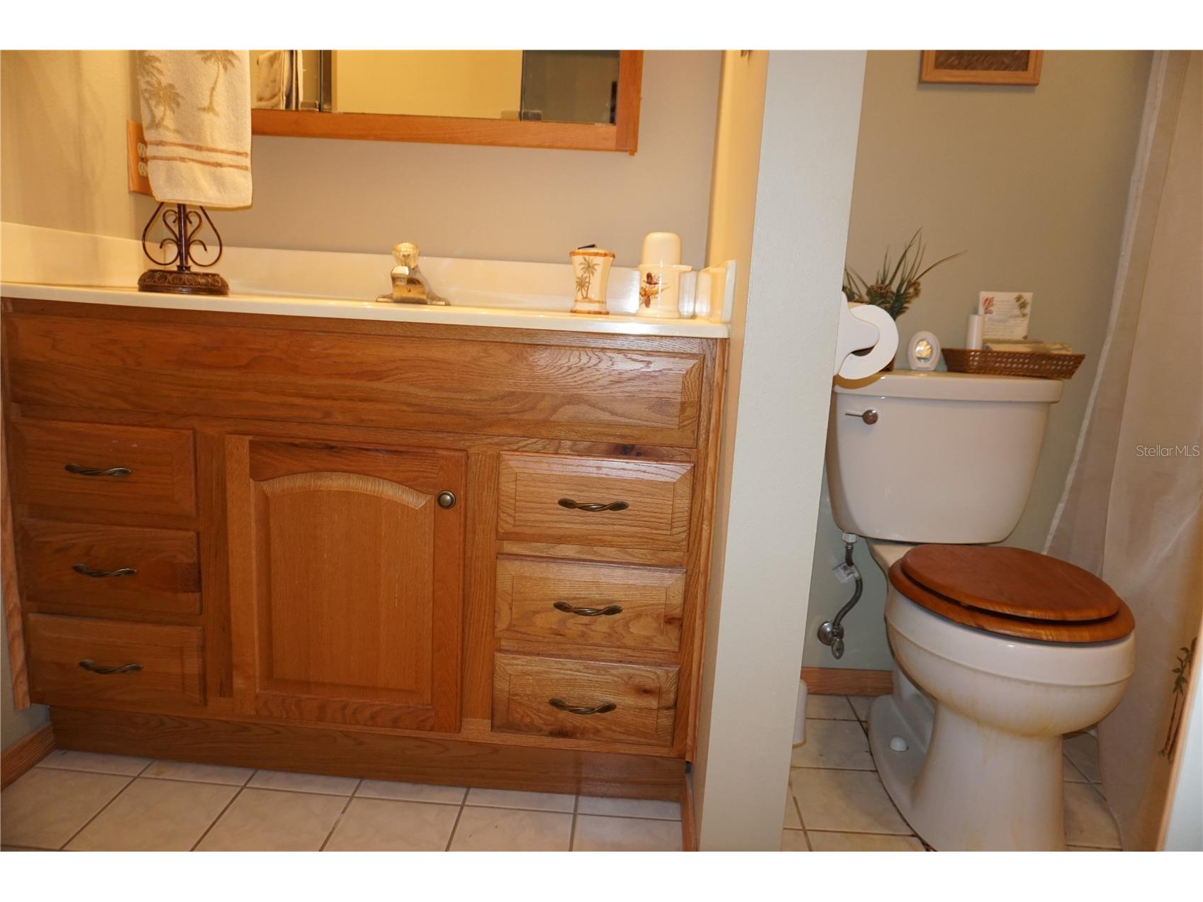 4031 93rd Terrace N #5 Pinellas Park FL 33782 TB8501865 image42