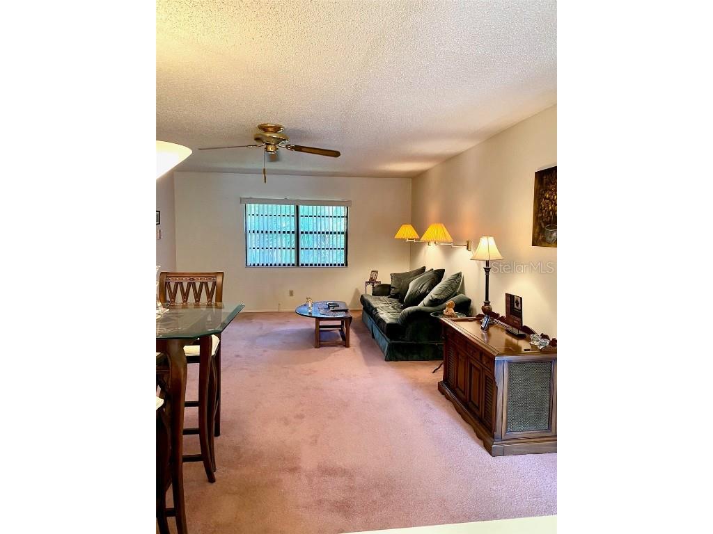 4031 Arrowwood Court Palm Harbor FL 34684 TB8433160 image10