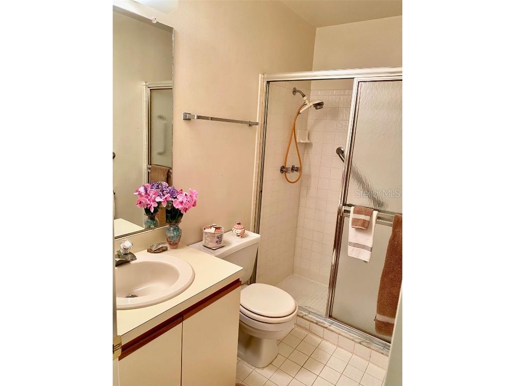 4031 Arrowwood Court Palm Harbor FL 34684 TB8433160 image11