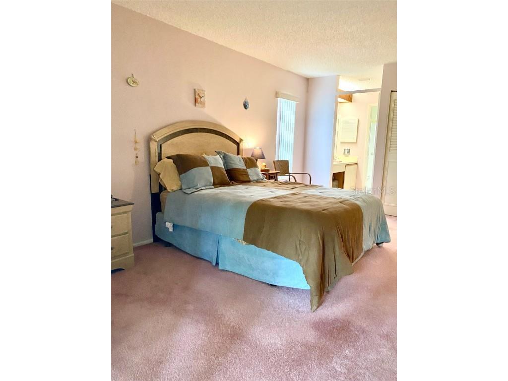 4031 Arrowwood Court Palm Harbor FL 34684 TB8433160 image12