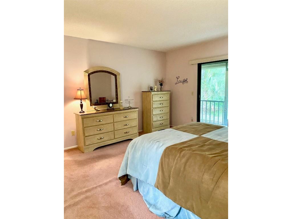 4031 Arrowwood Court Palm Harbor FL 34684 TB8433160 image13