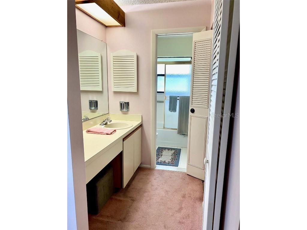 4031 Arrowwood Court Palm Harbor FL 34684 TB8433160 image15