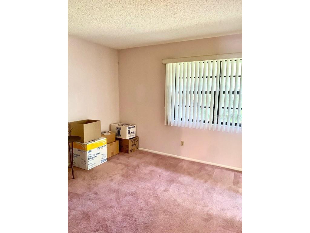 4031 Arrowwood Court Palm Harbor FL 34684 TB8433160 image18