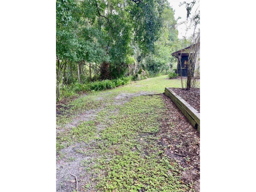 4031 Arrowwood Court Palm Harbor FL 34684 TB8433160 image24