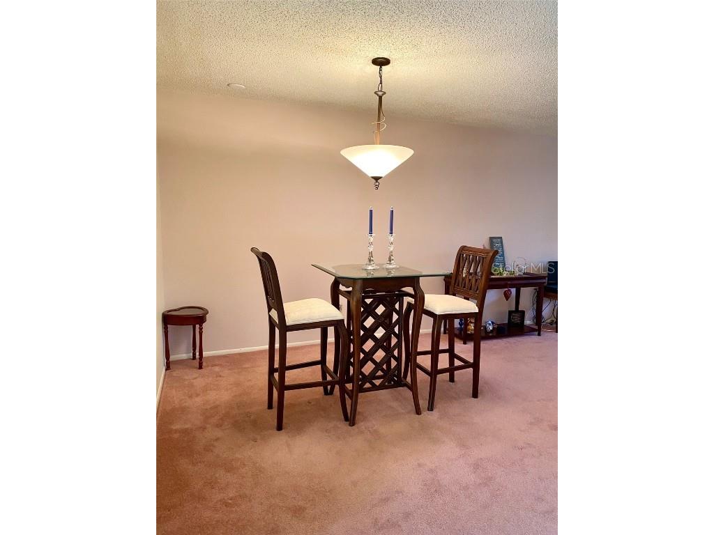 4031 Arrowwood Court Palm Harbor FL 34684 TB8433160 image8