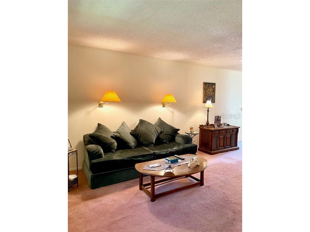 4031 Arrowwood Court Palm Harbor FL 34684 TB8433160 image9