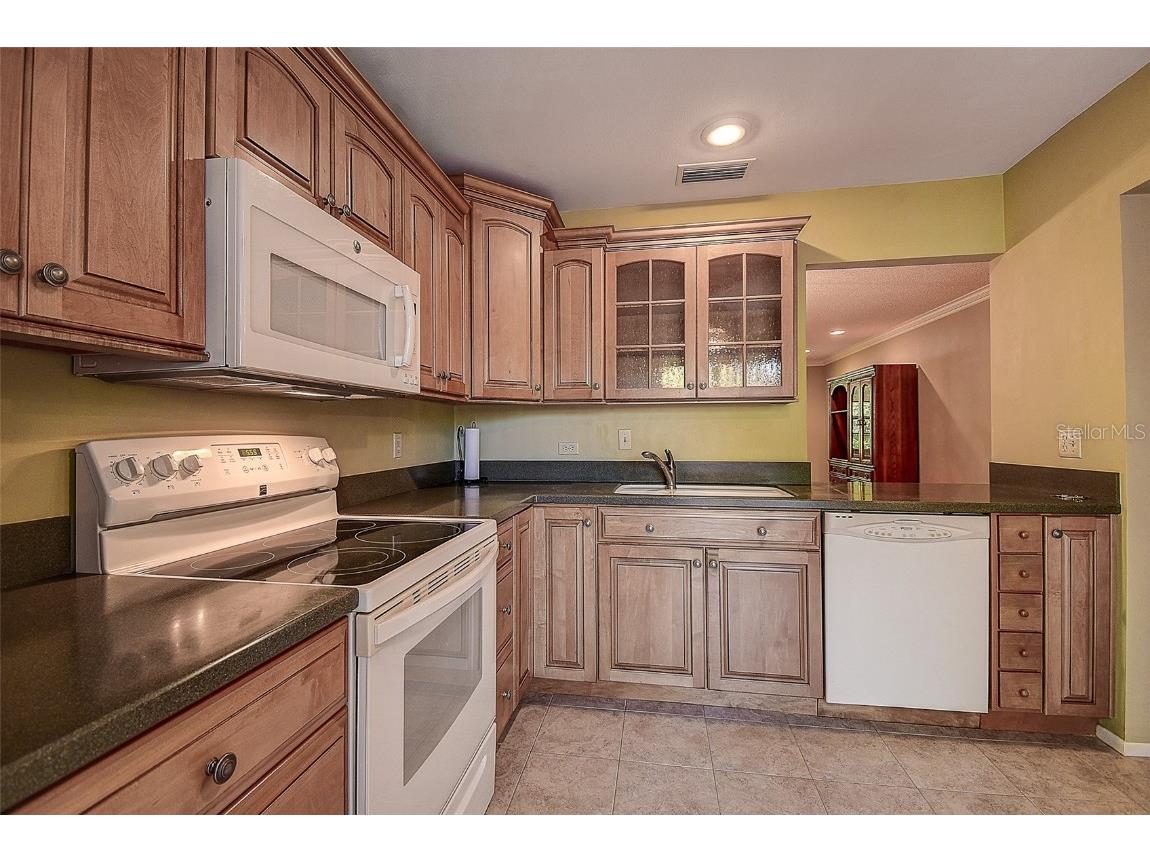 4031 Bluff Oak Court Palm Harbor FL 34684 TB8433722 image10