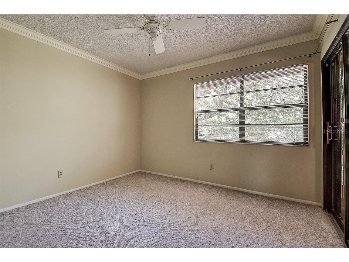 4031 Bluff Oak Court Palm Harbor FL 34684 TB8433722 image19