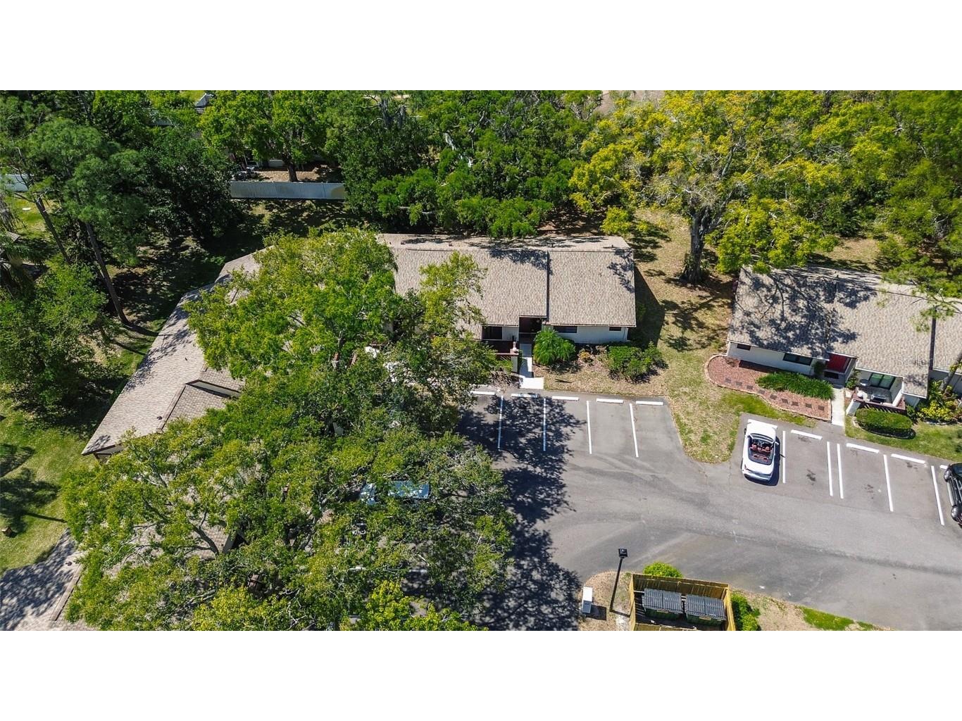 4031 Bluff Oak Court Palm Harbor FL 34684 TB8433722 image2