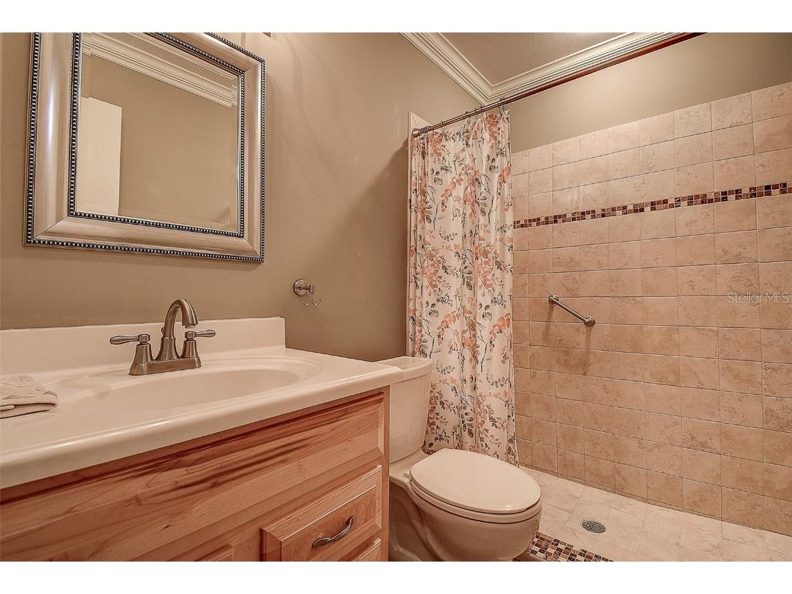 4031 Bluff Oak Court Palm Harbor FL 34684 TB8433722 image21