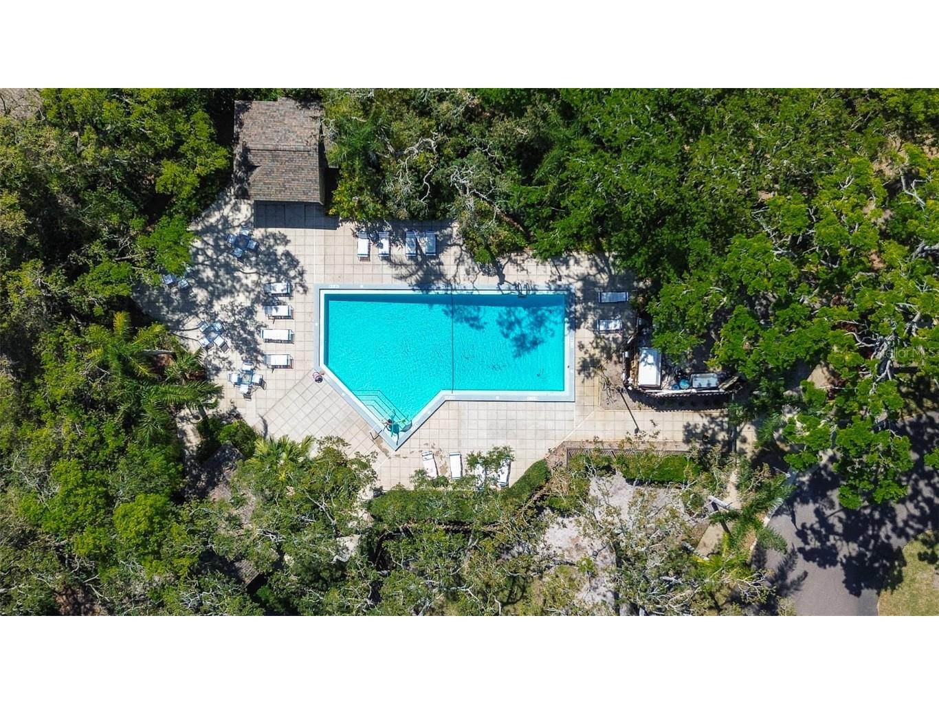 4031 Bluff Oak Court Palm Harbor FL 34684 TB8433722 image27