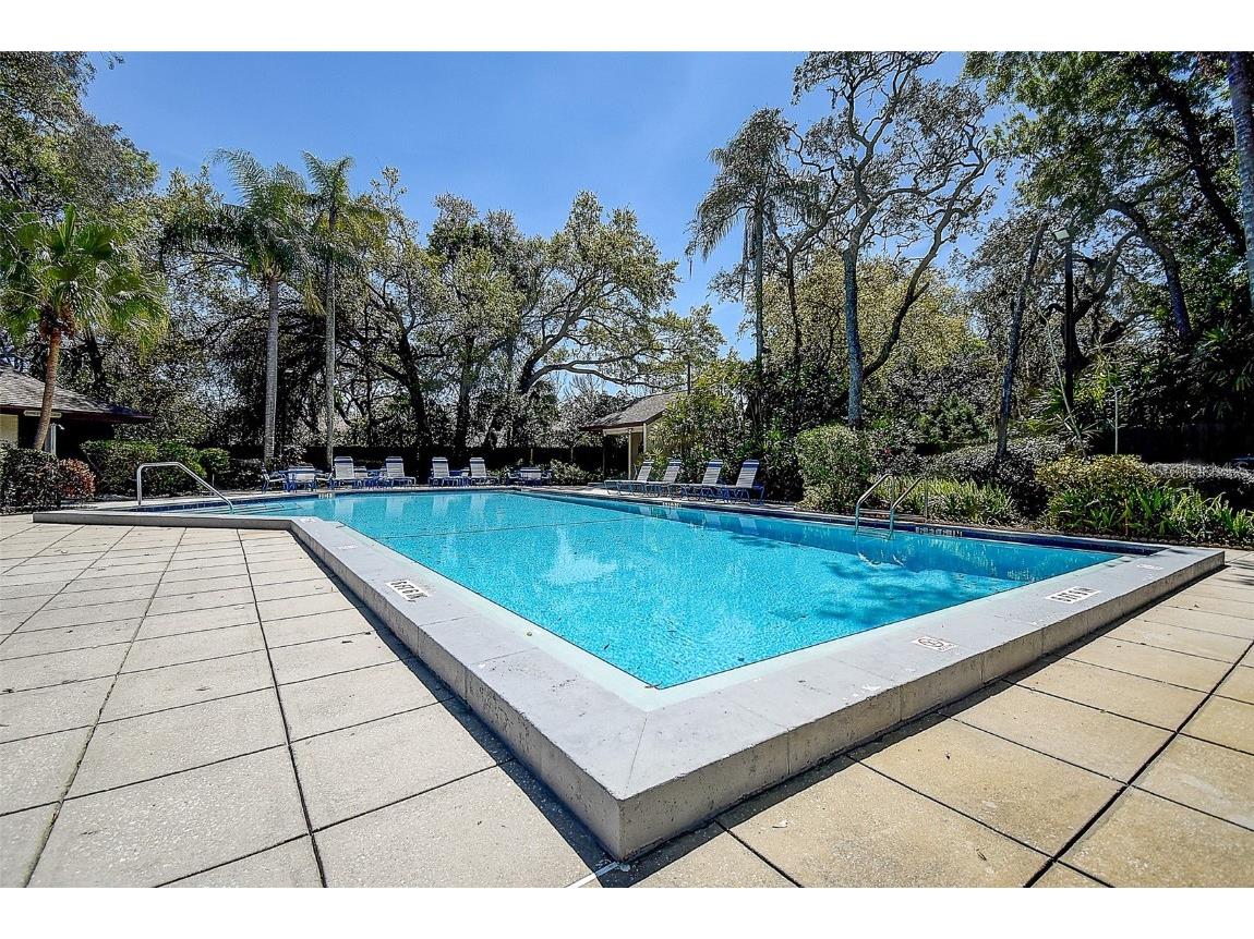 4031 Bluff Oak Court Palm Harbor FL 34684 TB8433722 image28