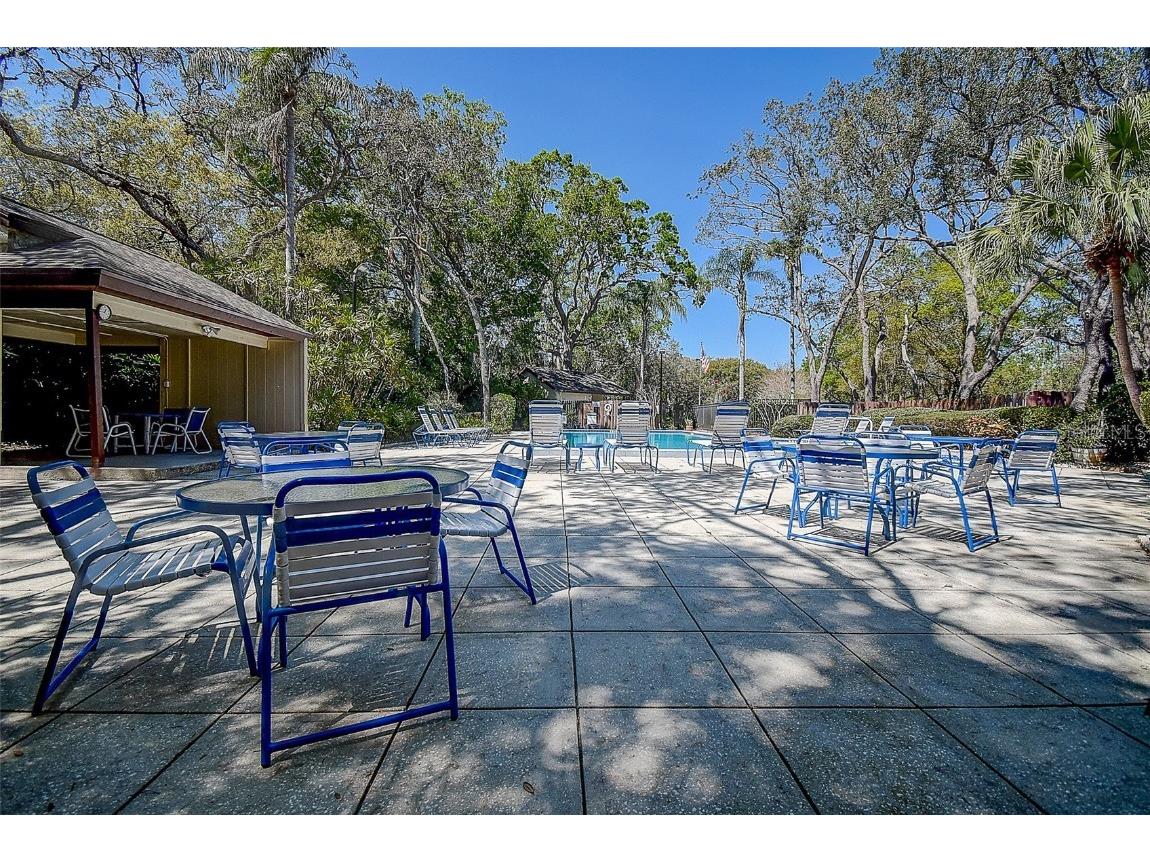 4031 Bluff Oak Court Palm Harbor FL 34684 TB8433722 image30