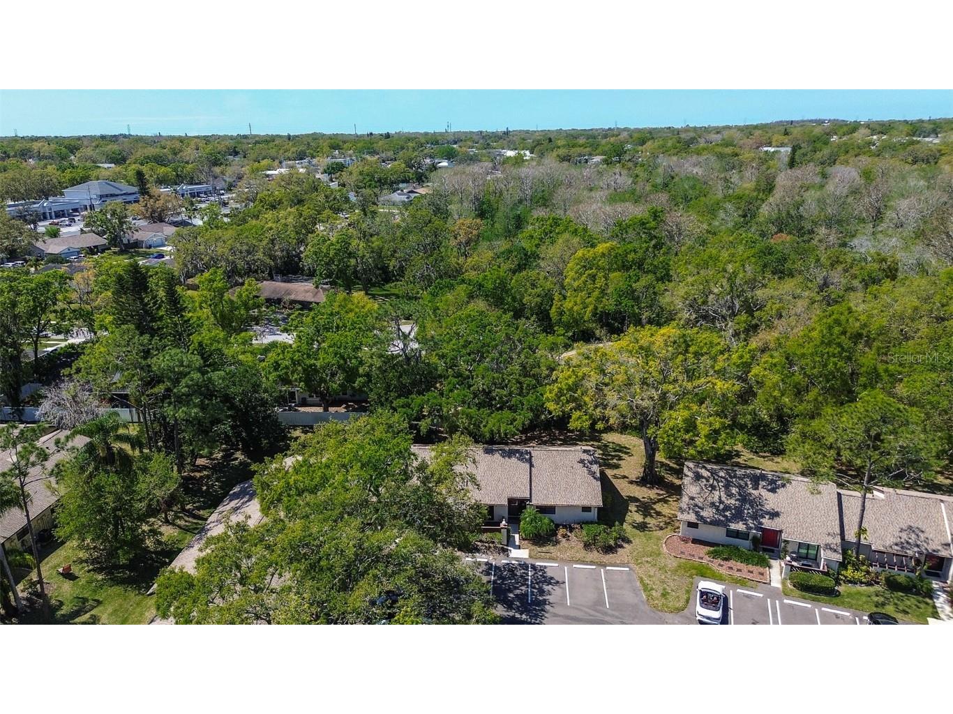 4031 Bluff Oak Court Palm Harbor FL 34684 TB8433722 image34