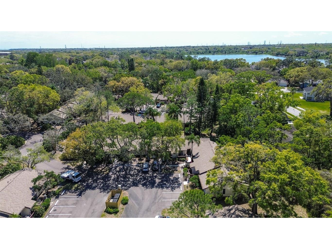 4031 Bluff Oak Court Palm Harbor FL 34684 TB8433722 image35