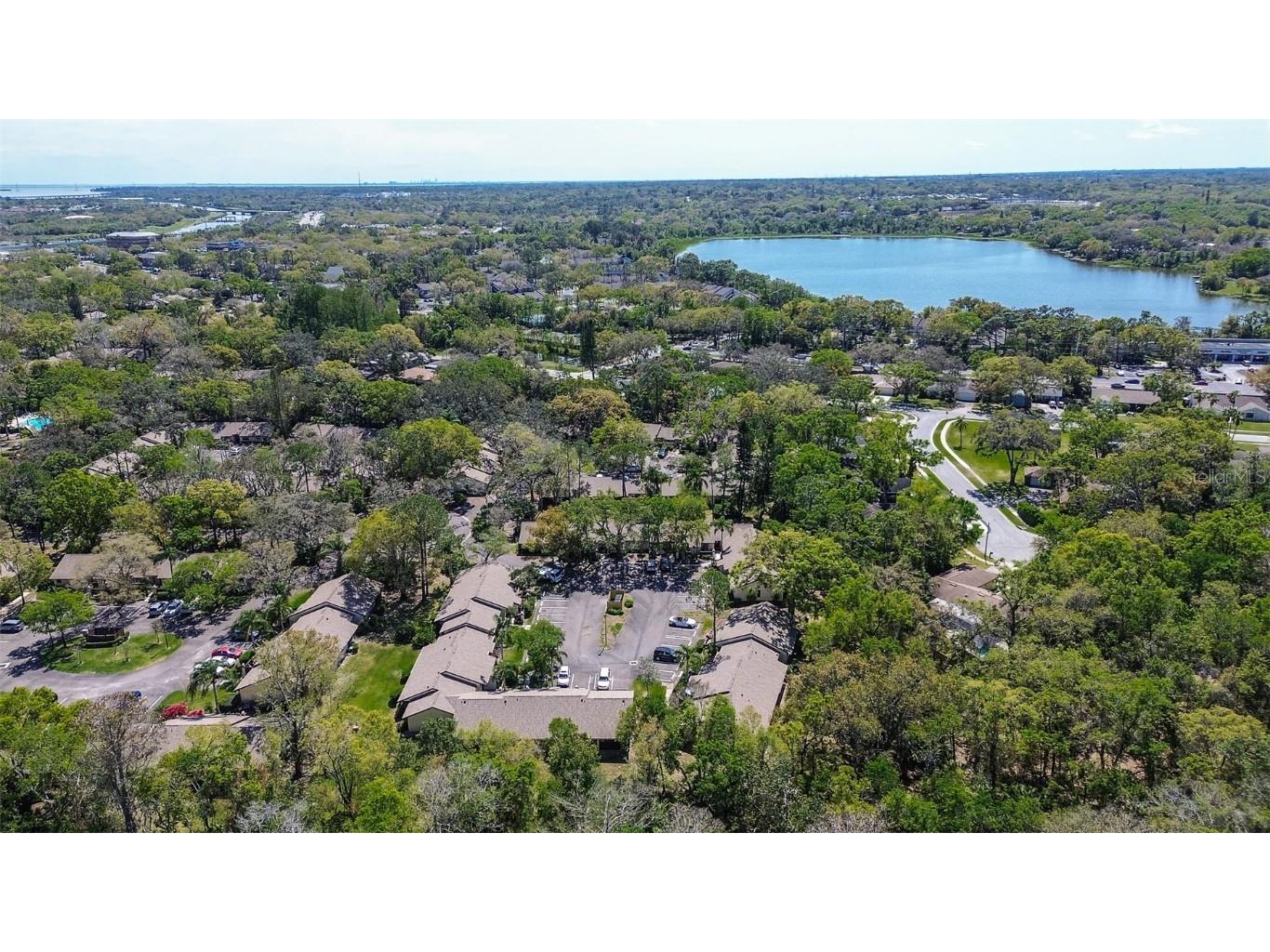 4031 Bluff Oak Court Palm Harbor FL 34684 TB8433722 image36