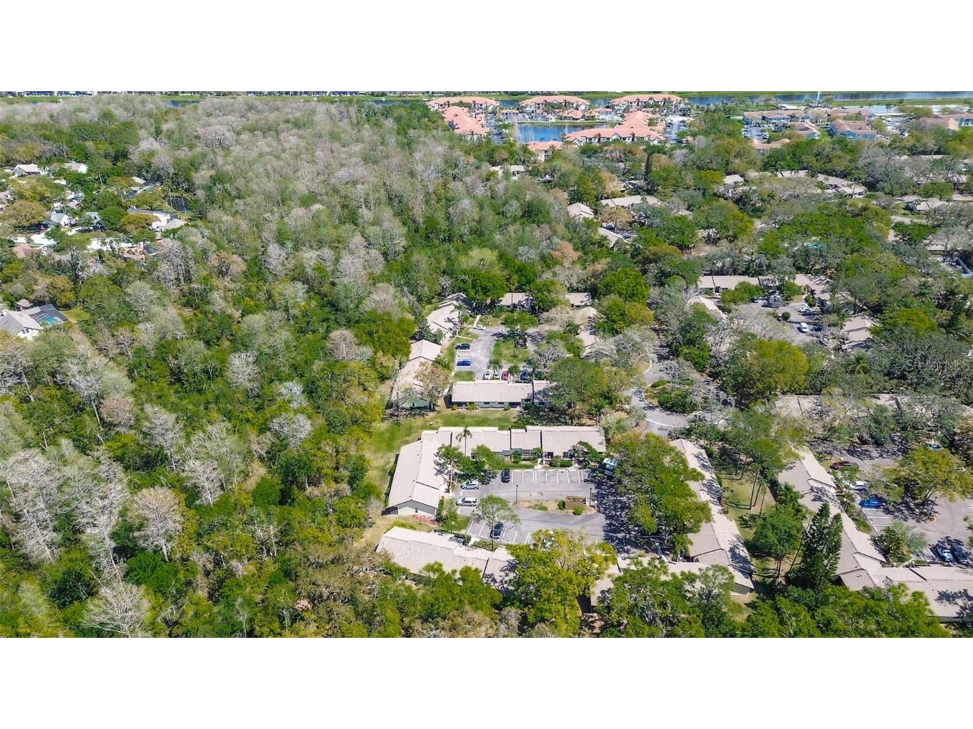 4031 Bluff Oak Court Palm Harbor FL 34684 TB8433722 image37