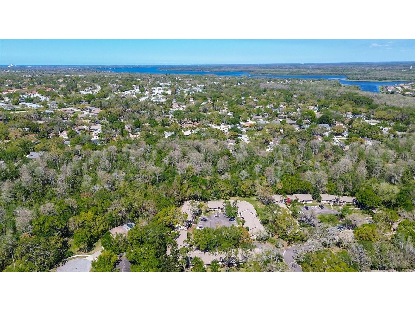 4031 Bluff Oak Court Palm Harbor FL 34684 TB8433722 image38